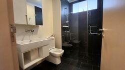 Village @ Pasir Panjang (D5), Condominium #539094491